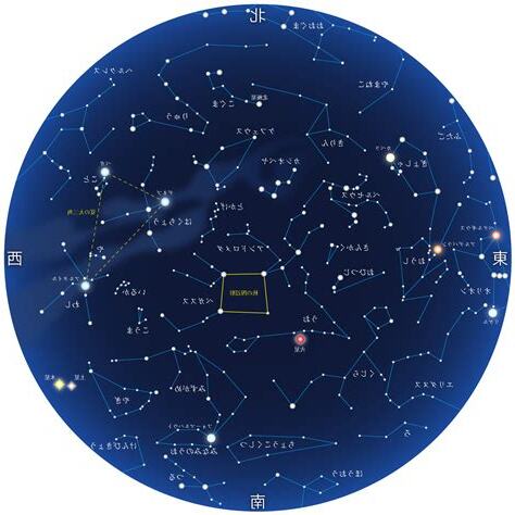 11 月 20 日 星座